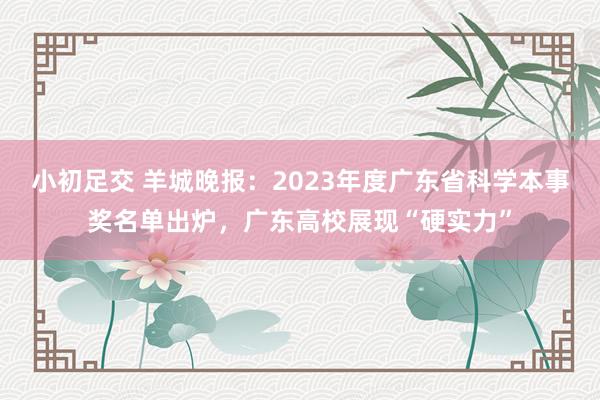 小初足交 羊城晚报：2023年度广东省科学本事奖名单出炉，广东高校展现“硬实力”