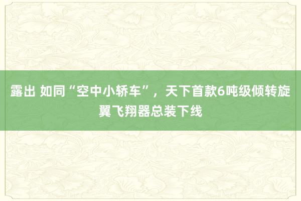 露出 如同“空中小轿车”，天下首款6吨级倾转旋翼飞翔器总装下线